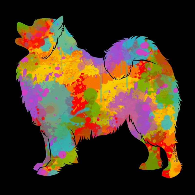 Samojeden Multicolor