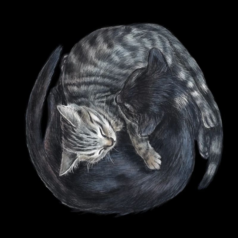 Yin & Yang Katzen - Geschenkidee - Kätzchen - süß