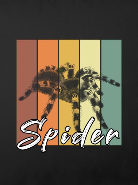 Spinne