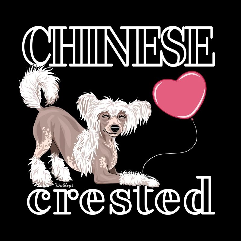 Chinese Crested I