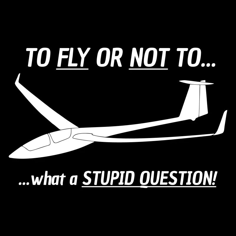 Fly or not