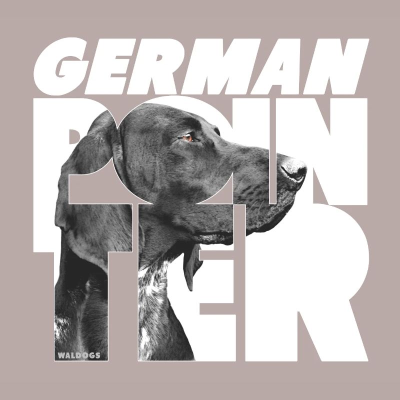 German Pointer I