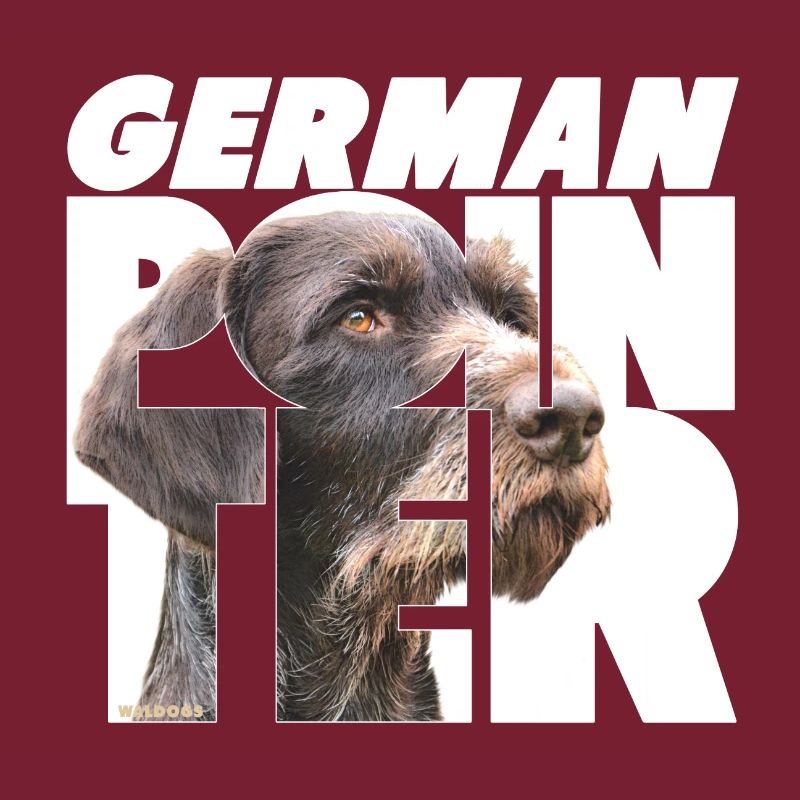 German Pointer VII