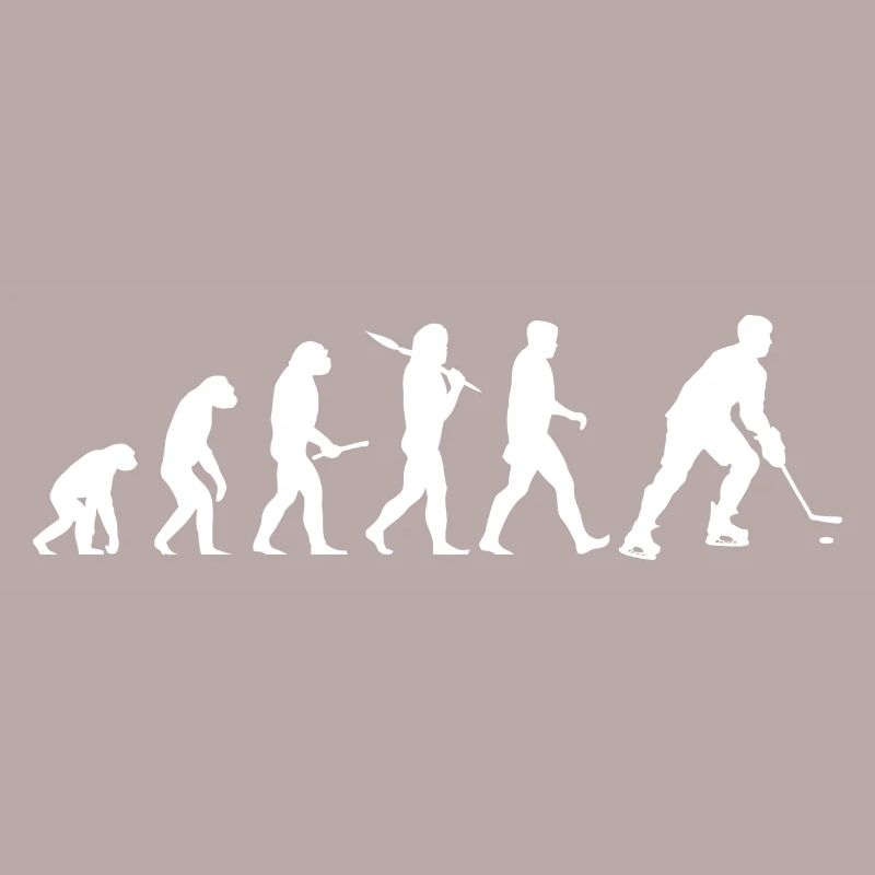 Ice hockey evolution