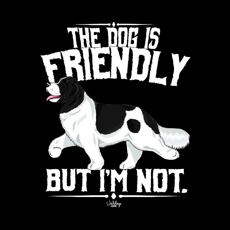 lansufriendly2