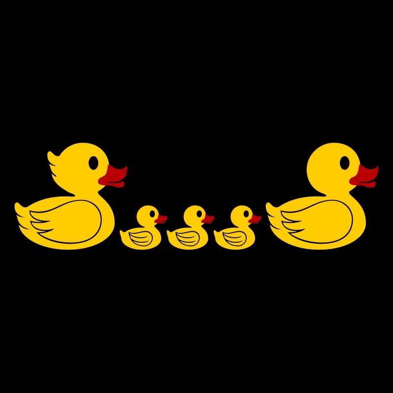 Famille de canards 2