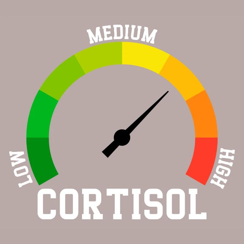 Low Cortisol Low Level Even