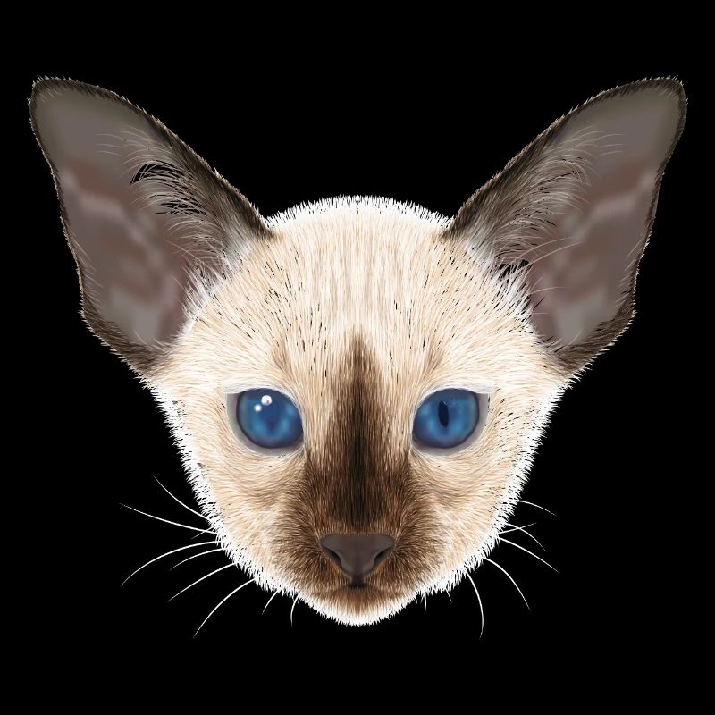 Siamkatze 