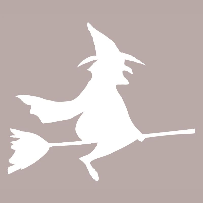 Witch on broom