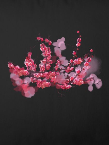 sakura
