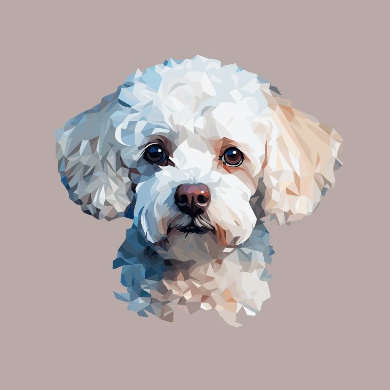 Conception de polygones caniche