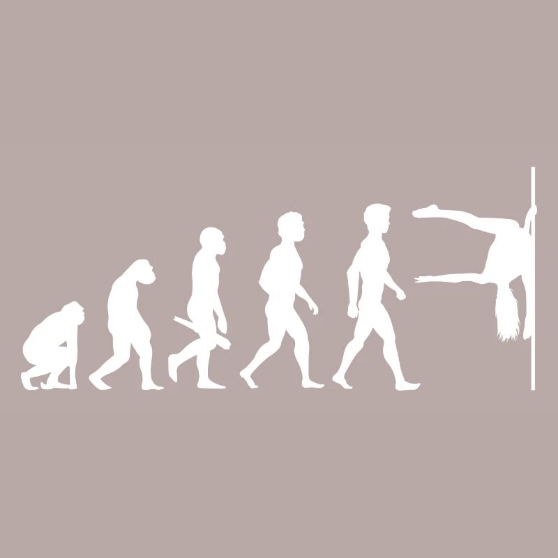 Evolution Poledance Pole Dancing Stange Tanzen