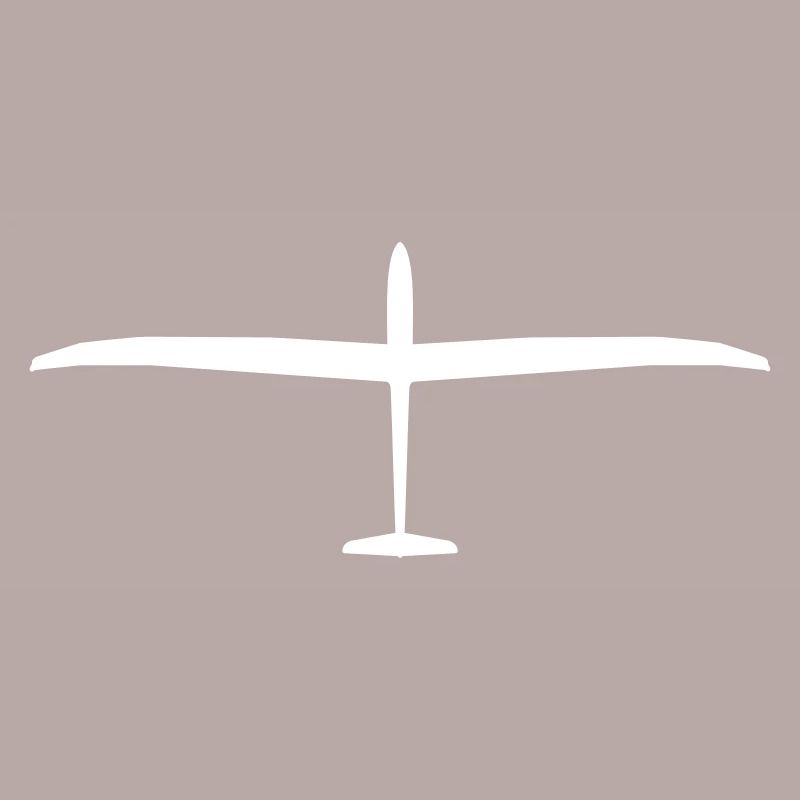 Arcus Glider Glider Glider Pilot