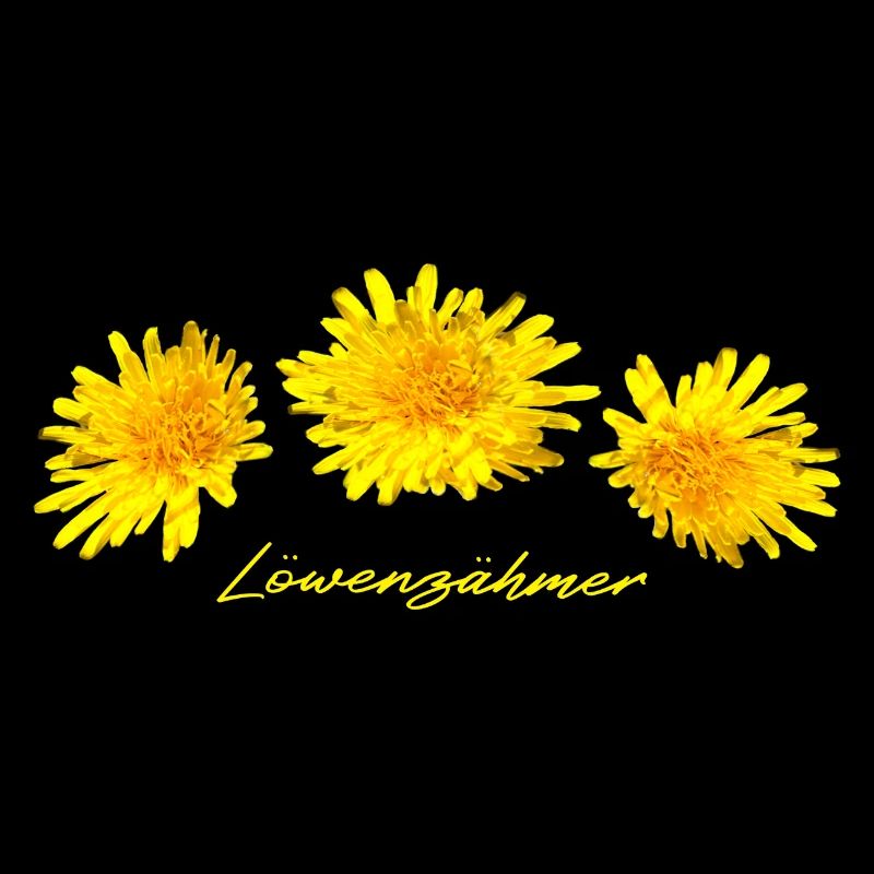Löwenzahn Pusteblume Löwenzähmer Löwe