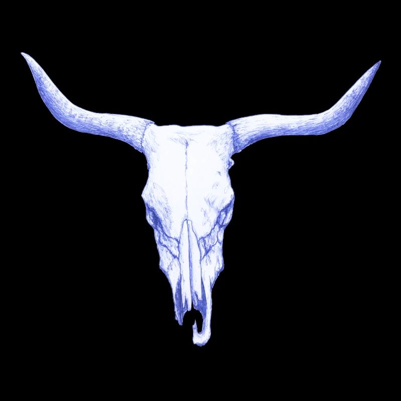 Bison Schaedel - Wild West Cowboy Rodeo Feeling