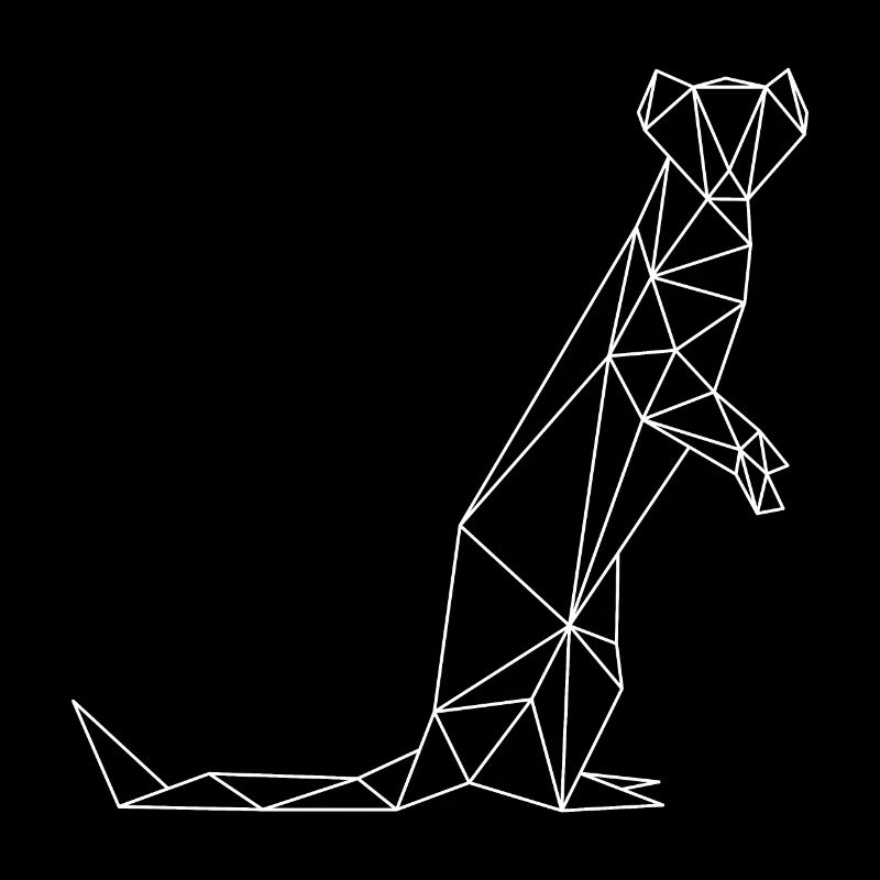 Hipster weasel geometric
