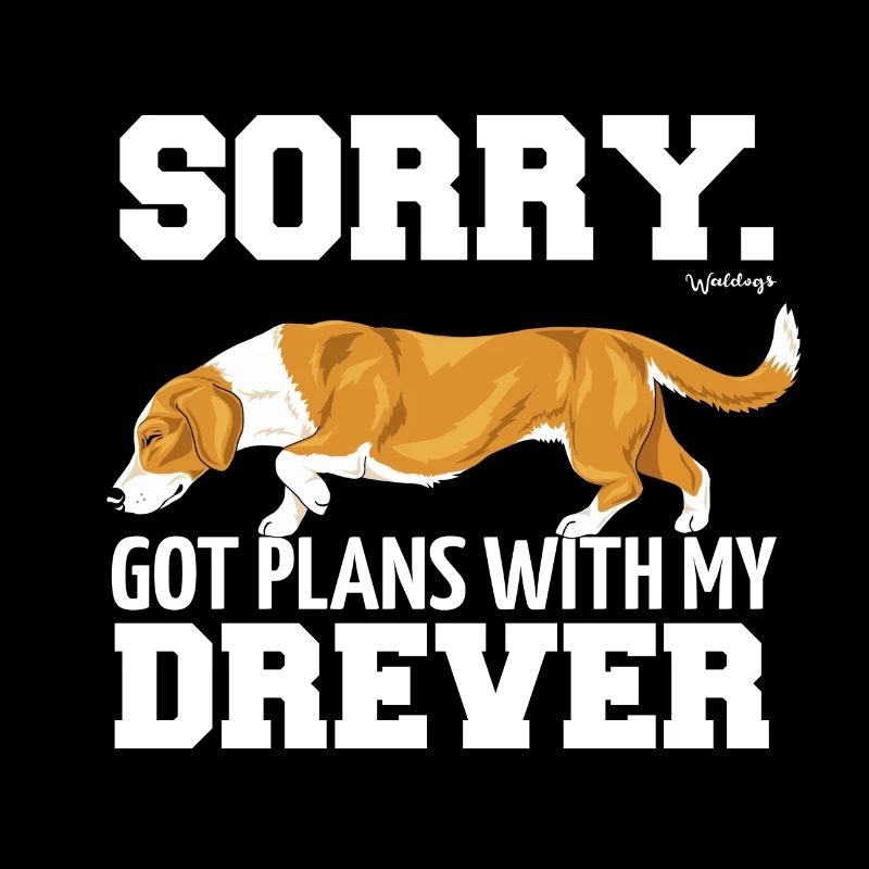 dreverplans2