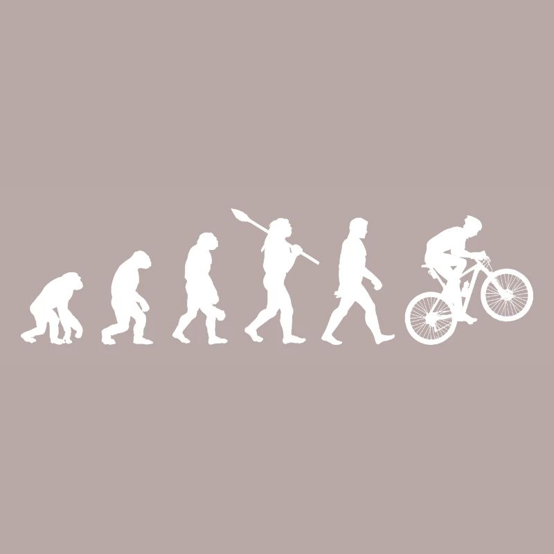 MTB Evolution