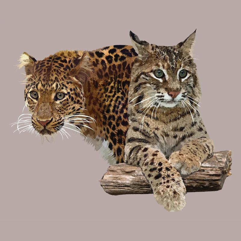 Leopard und Luchs