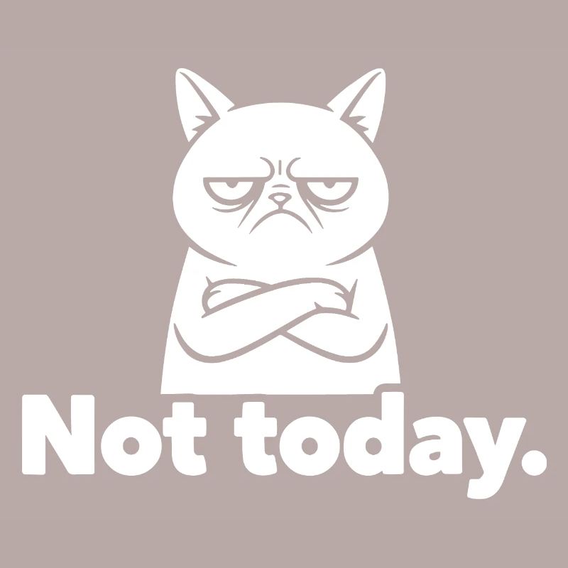 Grim Cat Not Today Meme