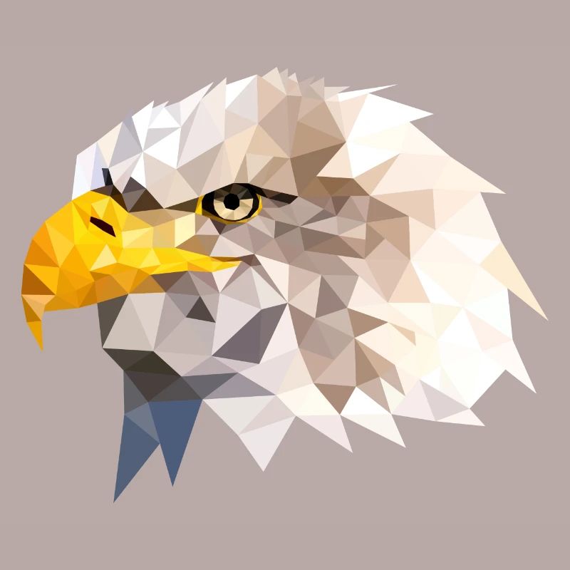 Bald Eagle Sea Eagle American Eagle Eagle