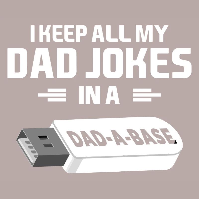 I Keep All My Dad Jokes In A Dad A Base Flashdrive