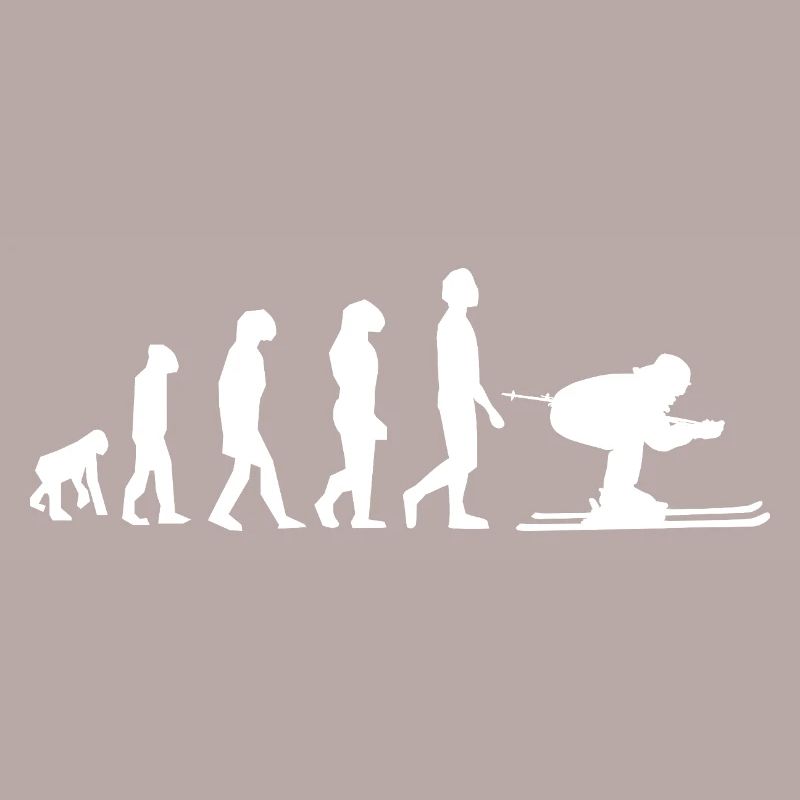 Evolution Ski / Entwicklung
