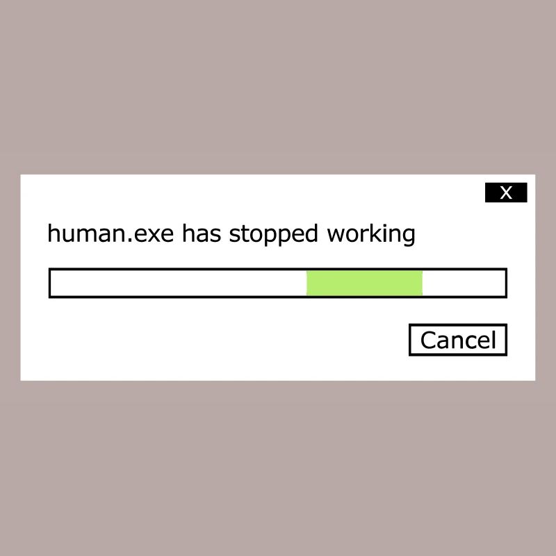 human.exe has stopped working Spruch human .exe