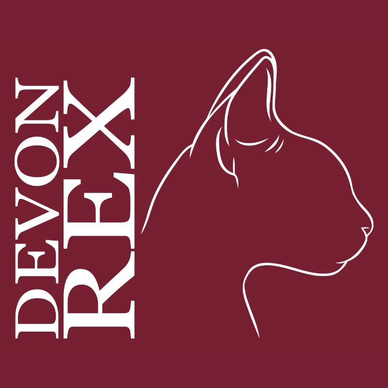 Devon Rex Profil Chat Chat Wilsigns