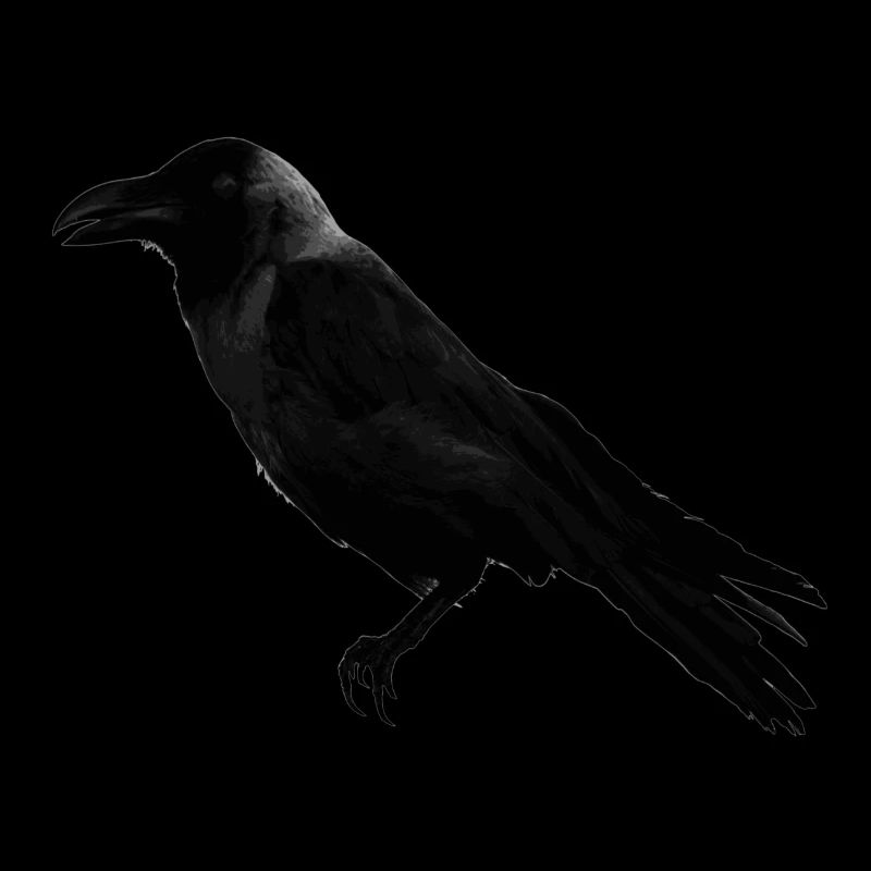 raven crow