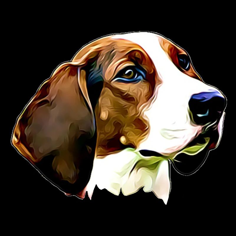 Finnish Hound