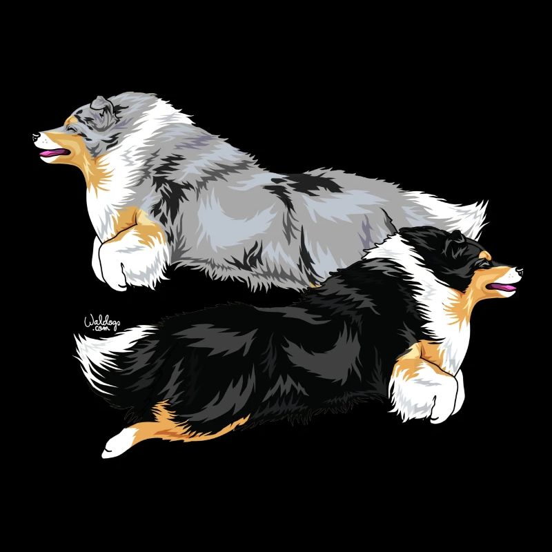 sheltiepair2