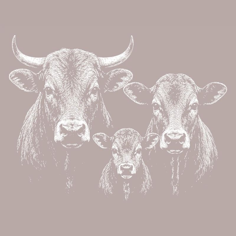 cattle