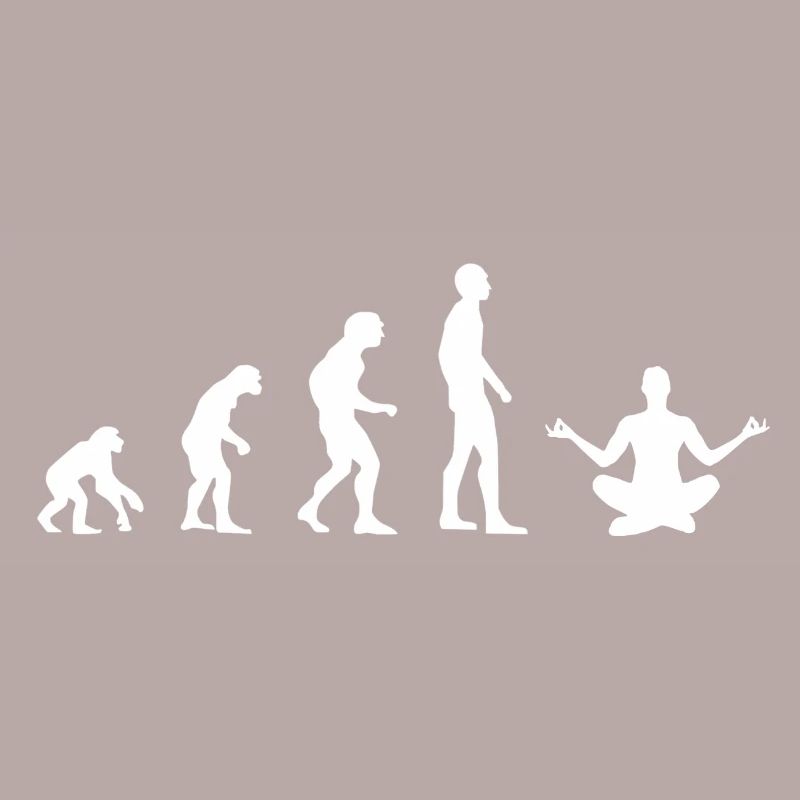 L’évolution | Méditer