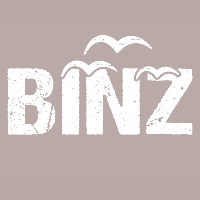 Binz Möwen Ostsee Seebad Binz