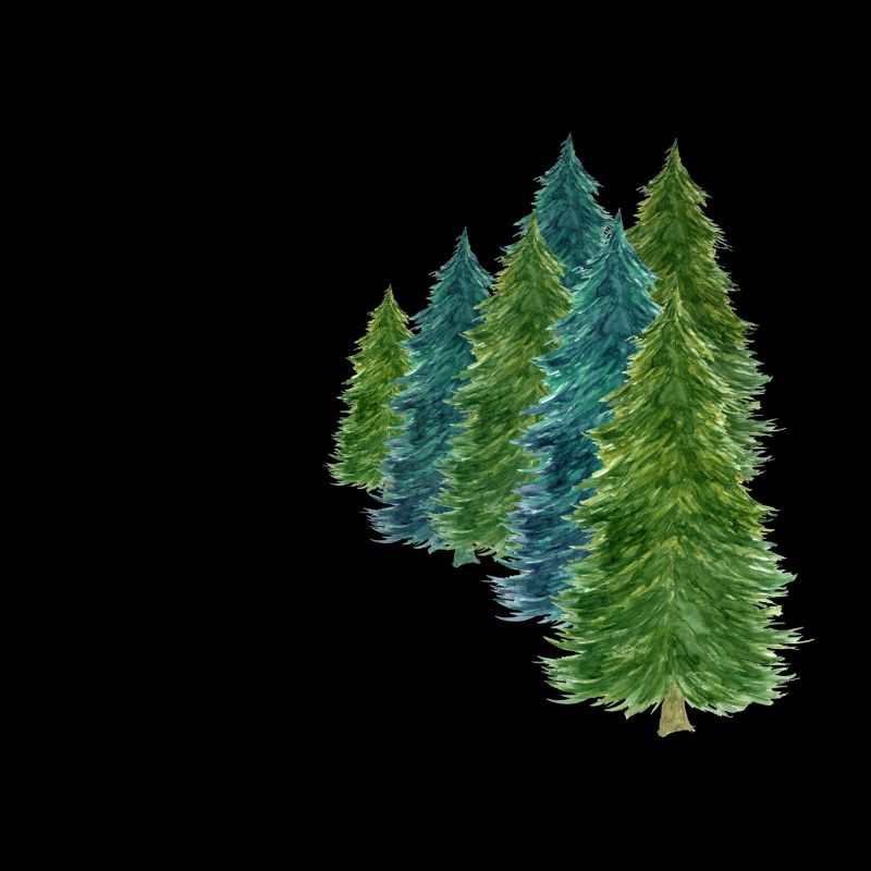 Forêt de sapins