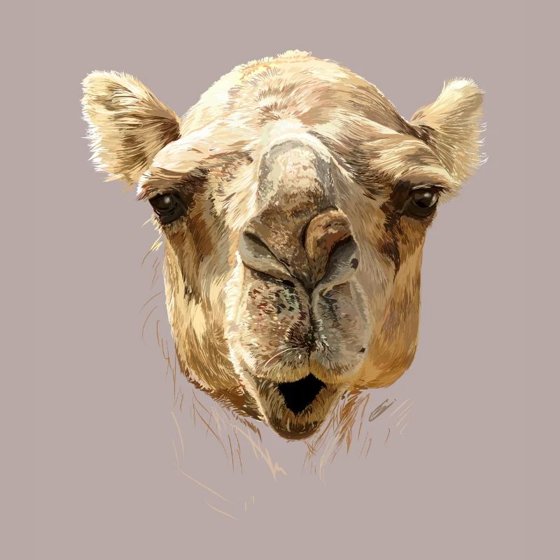 Camel