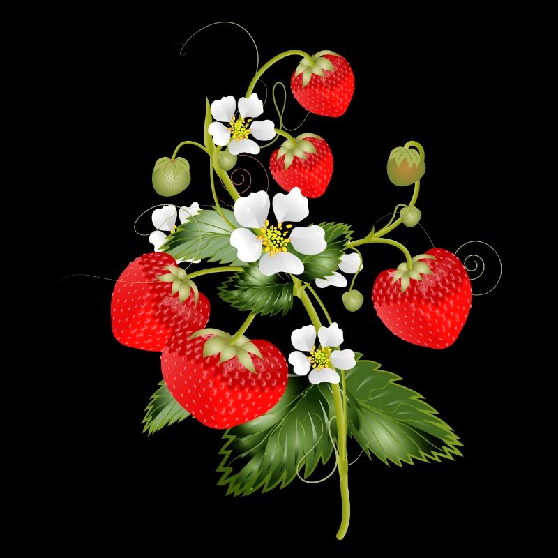 filigrane Erdbeeren Pflanze mit Erdbeeren Blüte