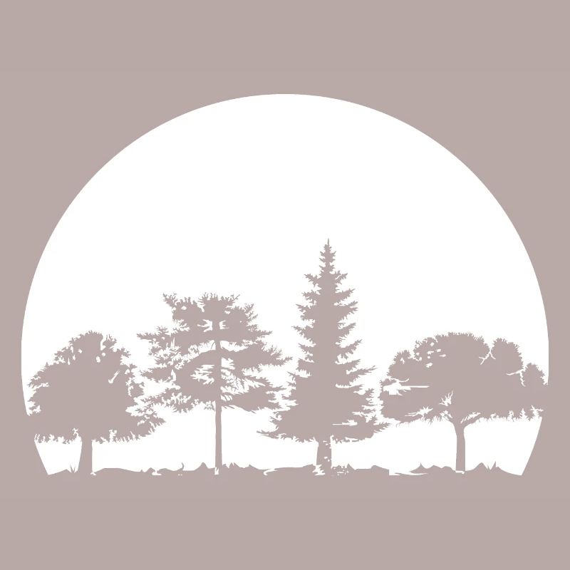 Forest, Moon, Mixed Forest, Nature, Oak, Beech, Birch, Spruce