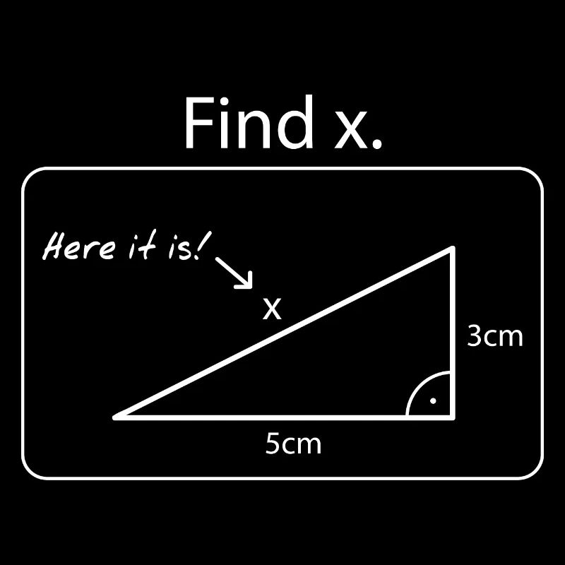 Finde das X // Mathematik
