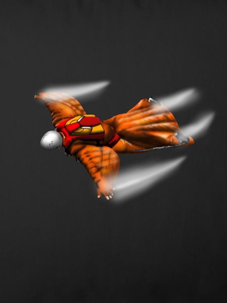 Wingsuit
