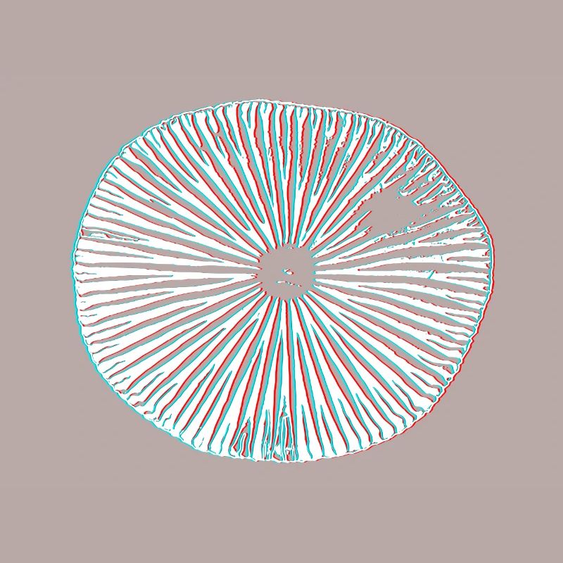 Champignons magiques psychédéliques impression 3D minimale