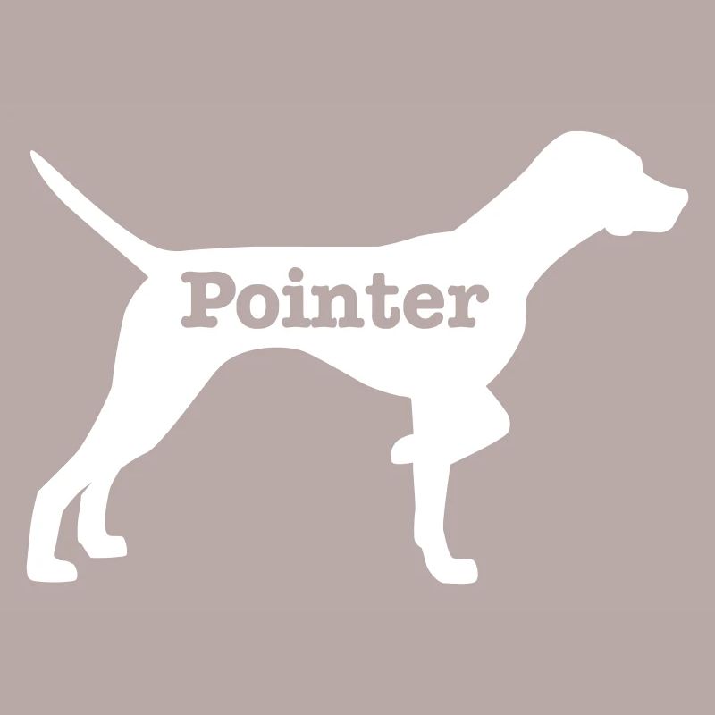 Pointer