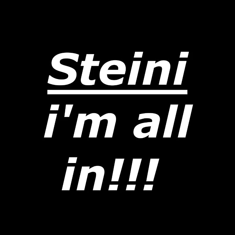 Steini all in