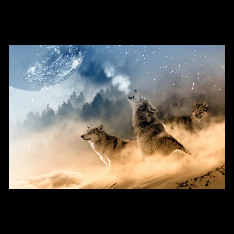 Wölfe heulen den Mond an / Schöne Wölfe