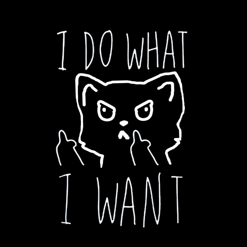 funny Cat and middle Gift idea