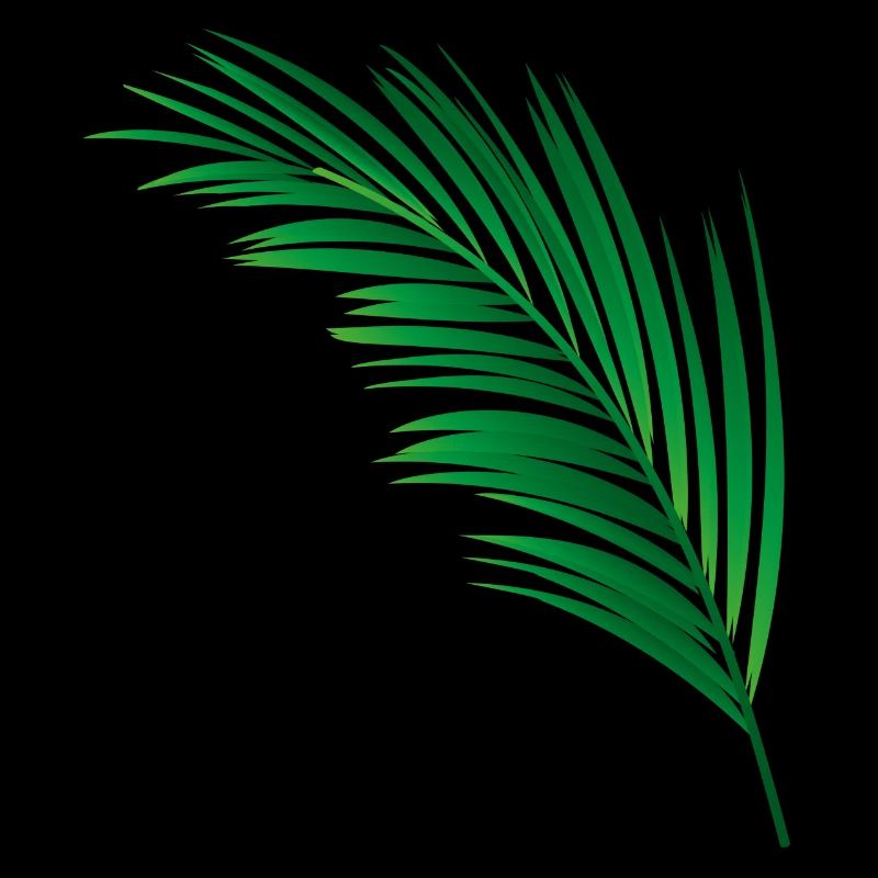 une feuille de palmiers vert unique