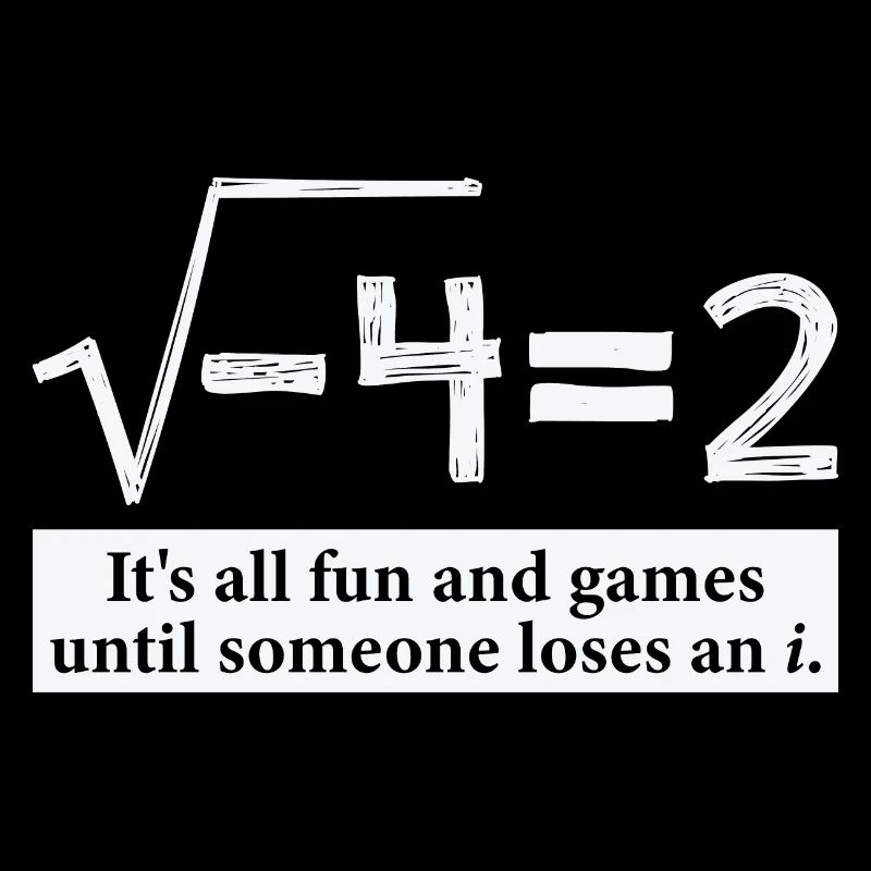 Someone Loses An i Funny Math Gift for Pi day