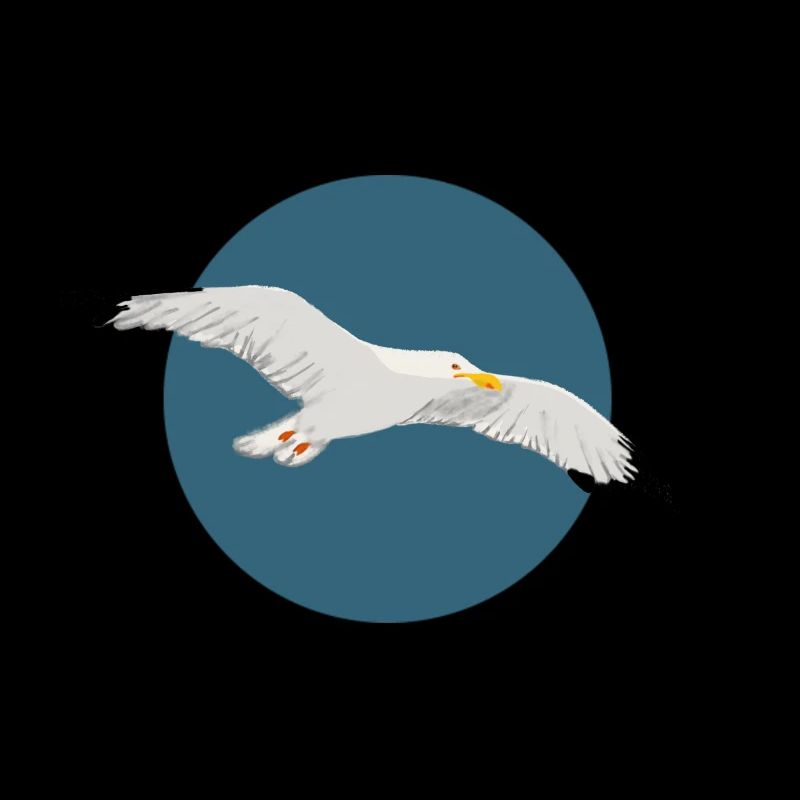 Möwe