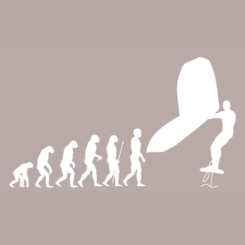 Wingsurf Evolution